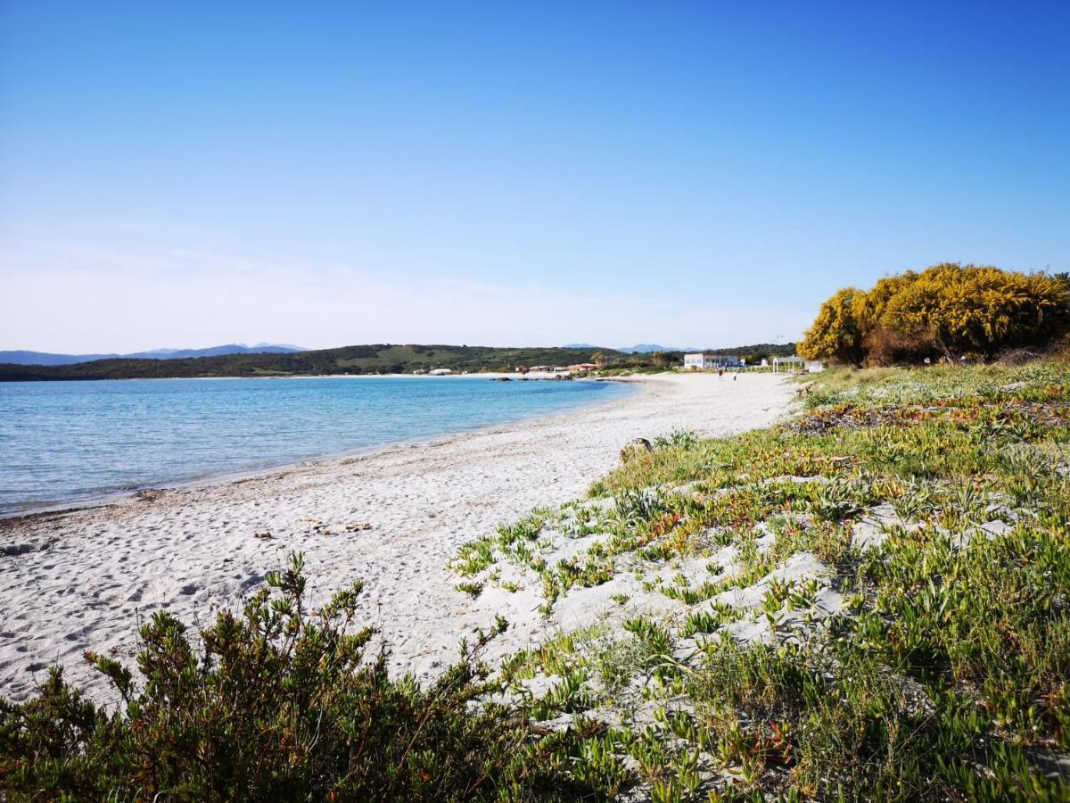 Insardinia House Trilocale A 200Mt Dalla Spiaggia Olbia Kültér fotó