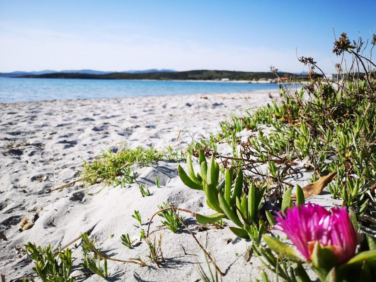 Insardinia House Trilocale A 200Mt Dalla Spiaggia Olbia Kültér fotó